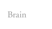 BrainFacts