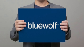 Bluewolf 2013